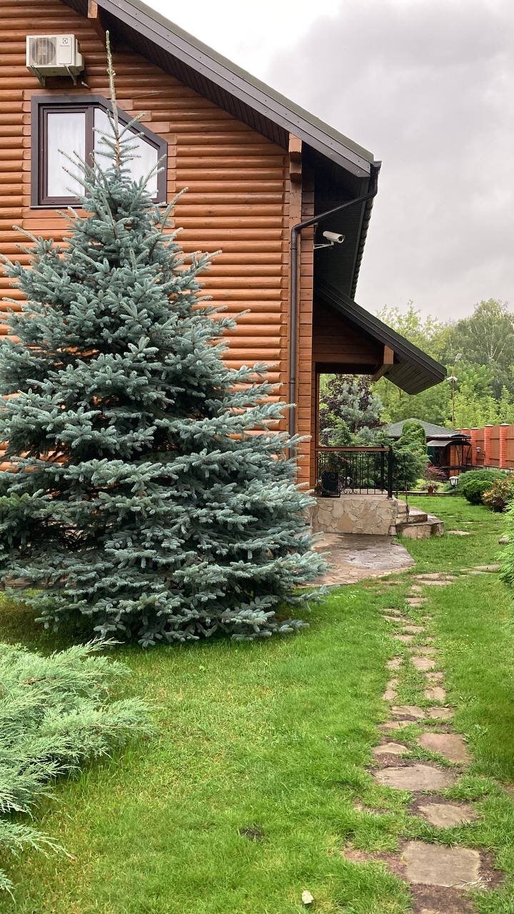 Фото Теремок