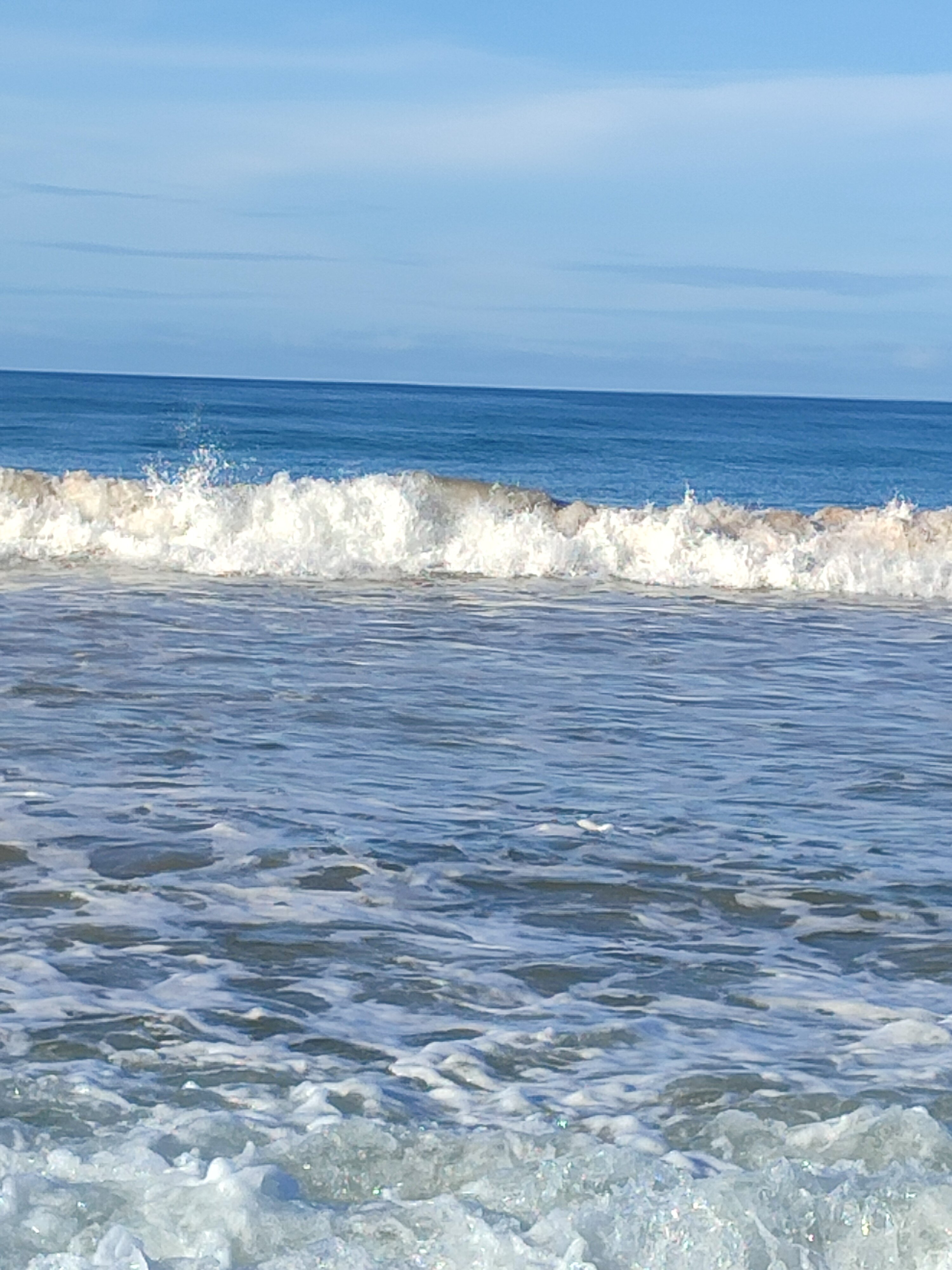 Фото Hansa Surf Hotel