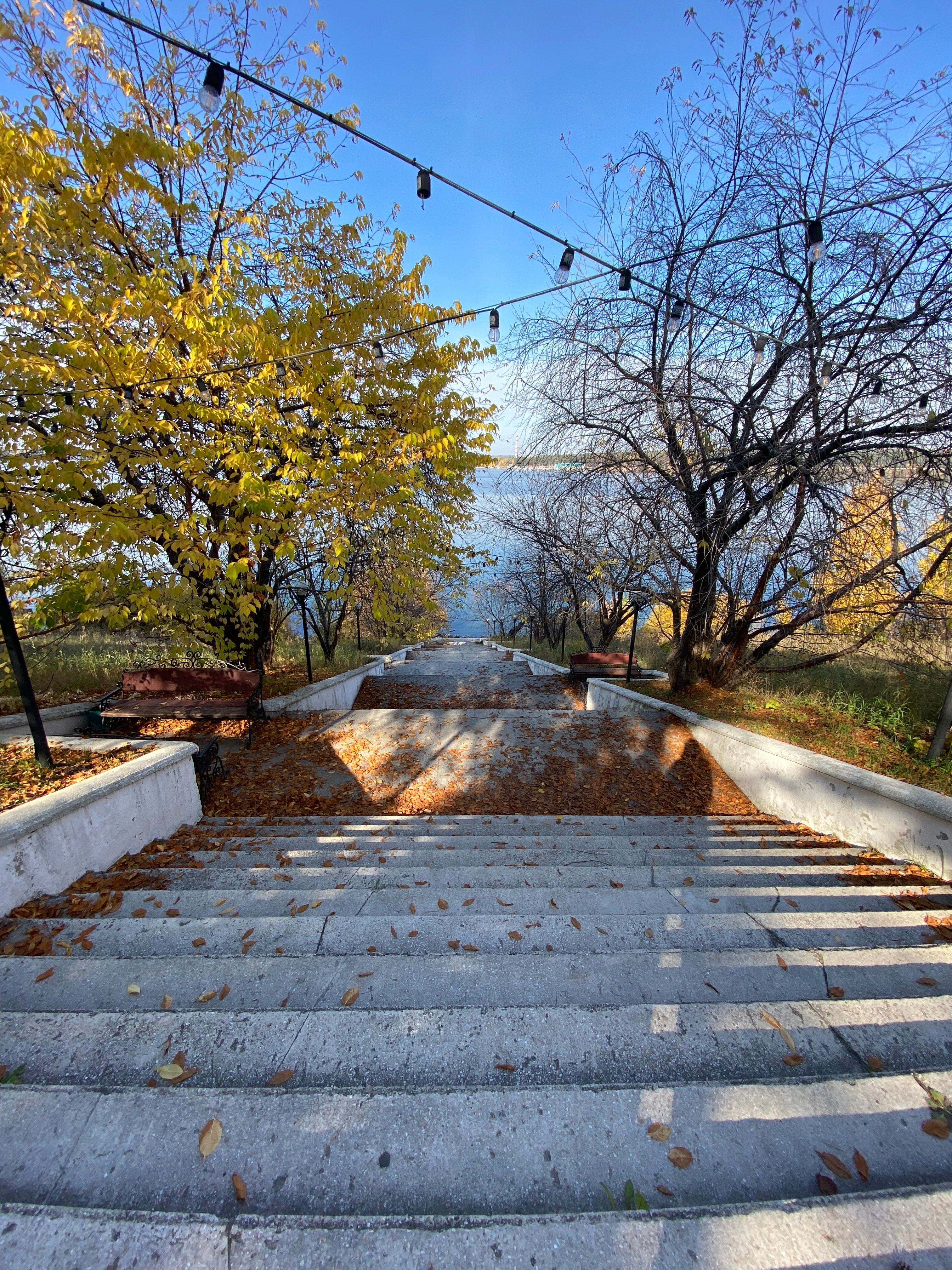 Фото Лесная сказка