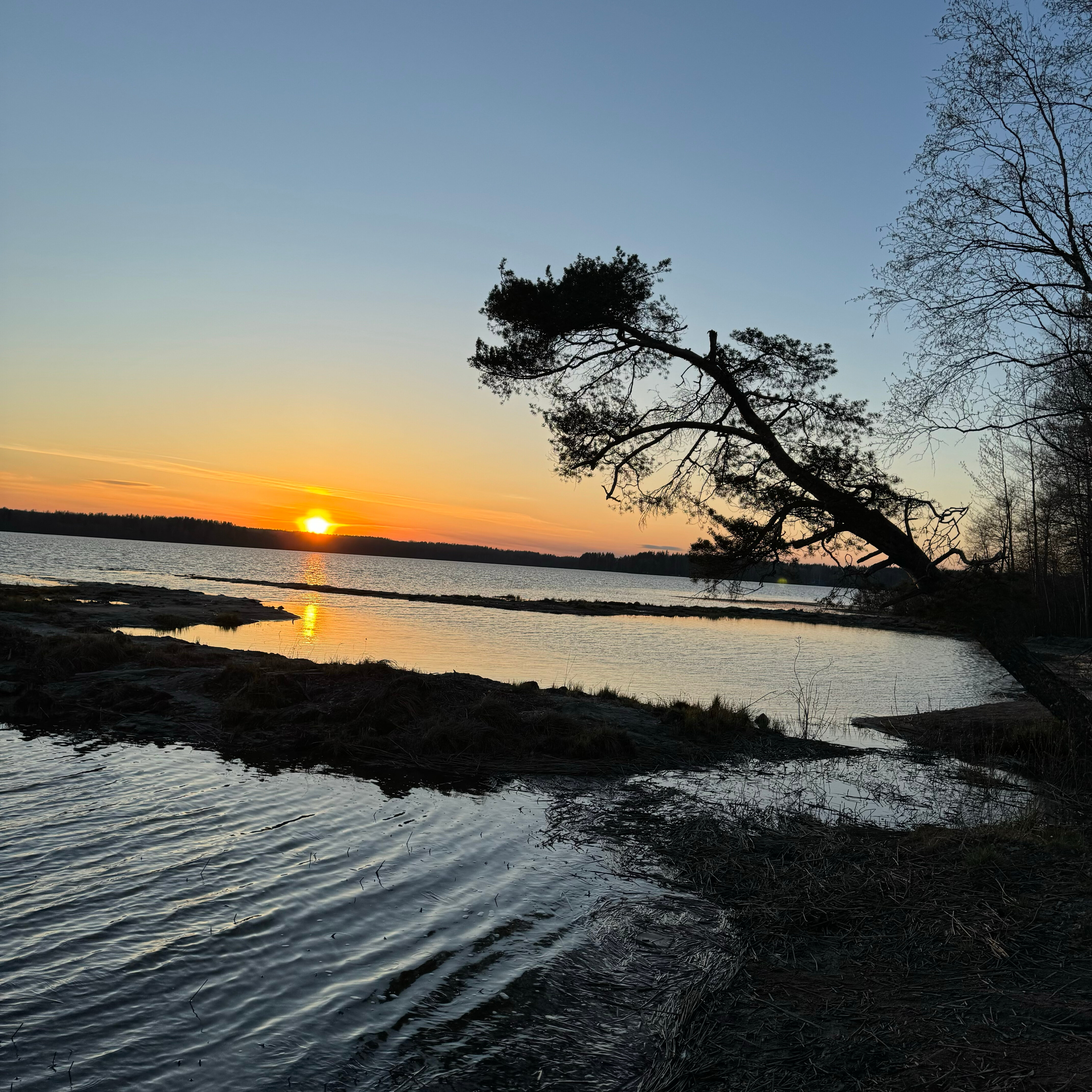 Фото Мамонт на озере