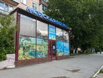 Morskaia volna (7 microdistrict, 17) ، متجر للحيوانات الأليفة