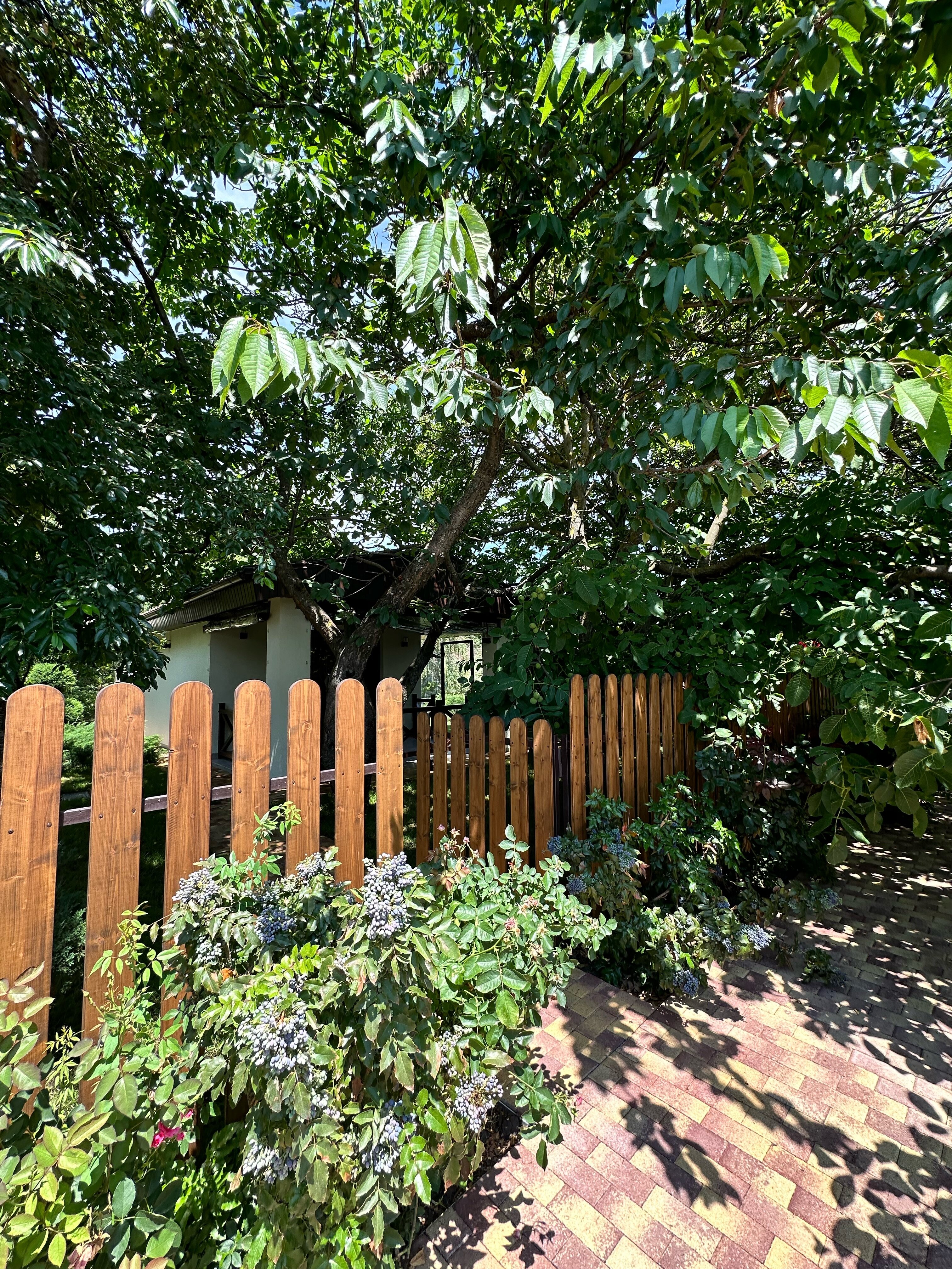 Фото Лесная сказка