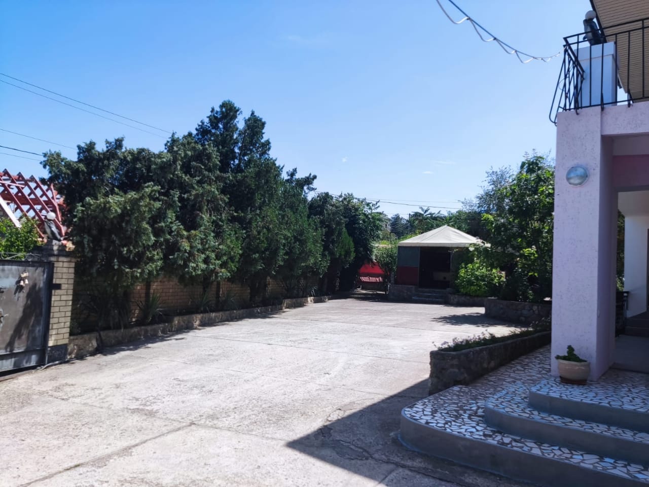 Фото Регата