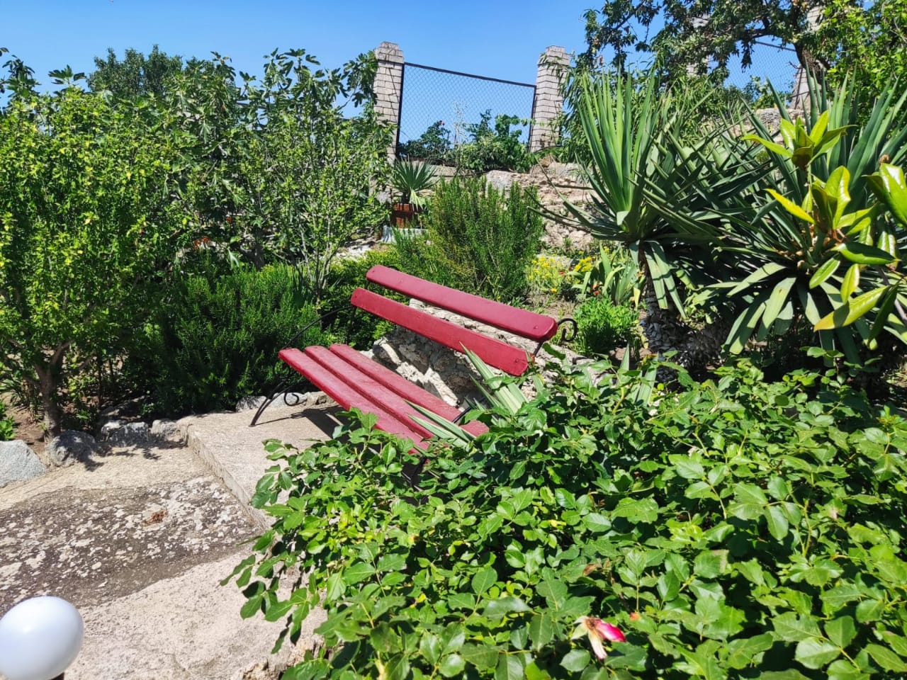 Фото Регата