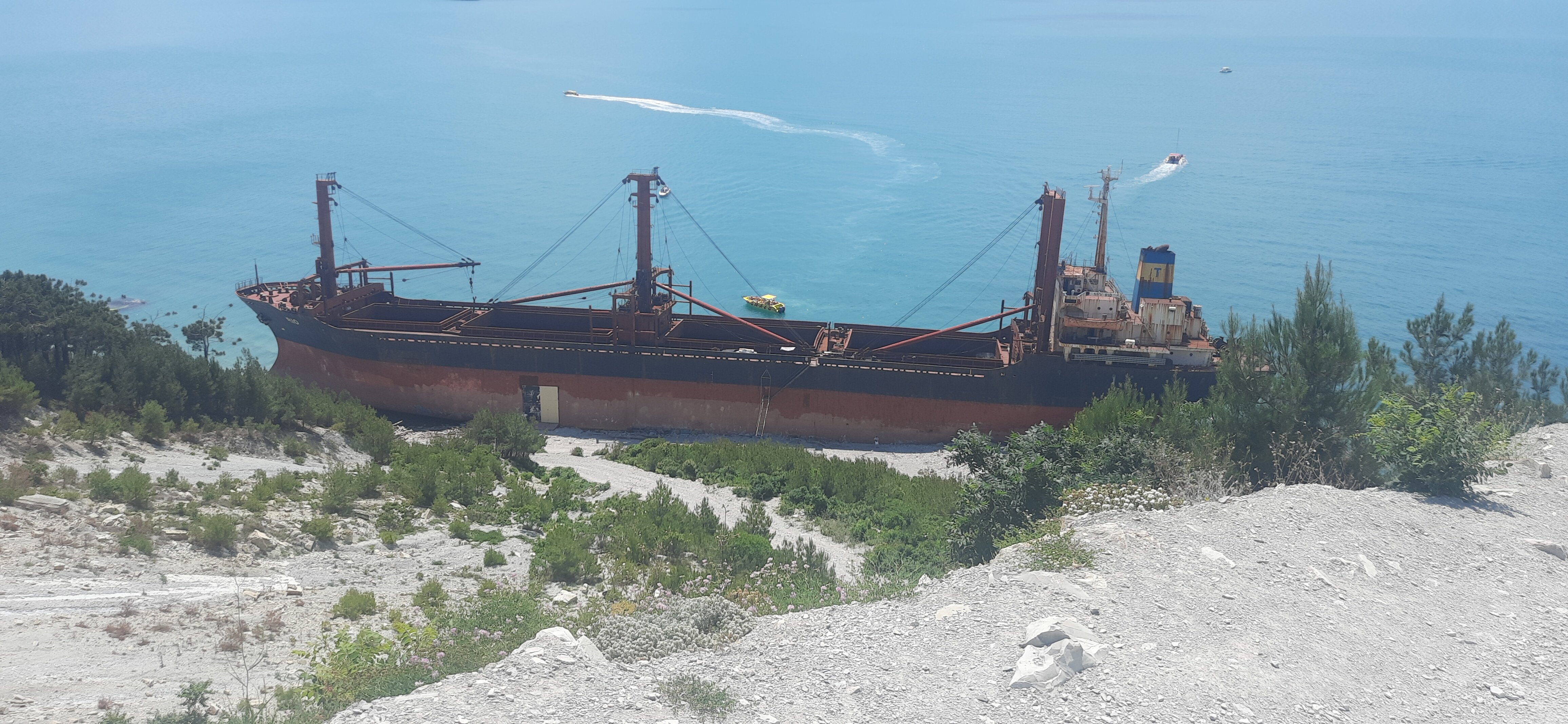 Фото Лесное местечко