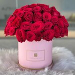 Lilac Flowers Trading, shop (Al Humaideya 1, Mid Sector, Ajman), flowers and bouquets delivery