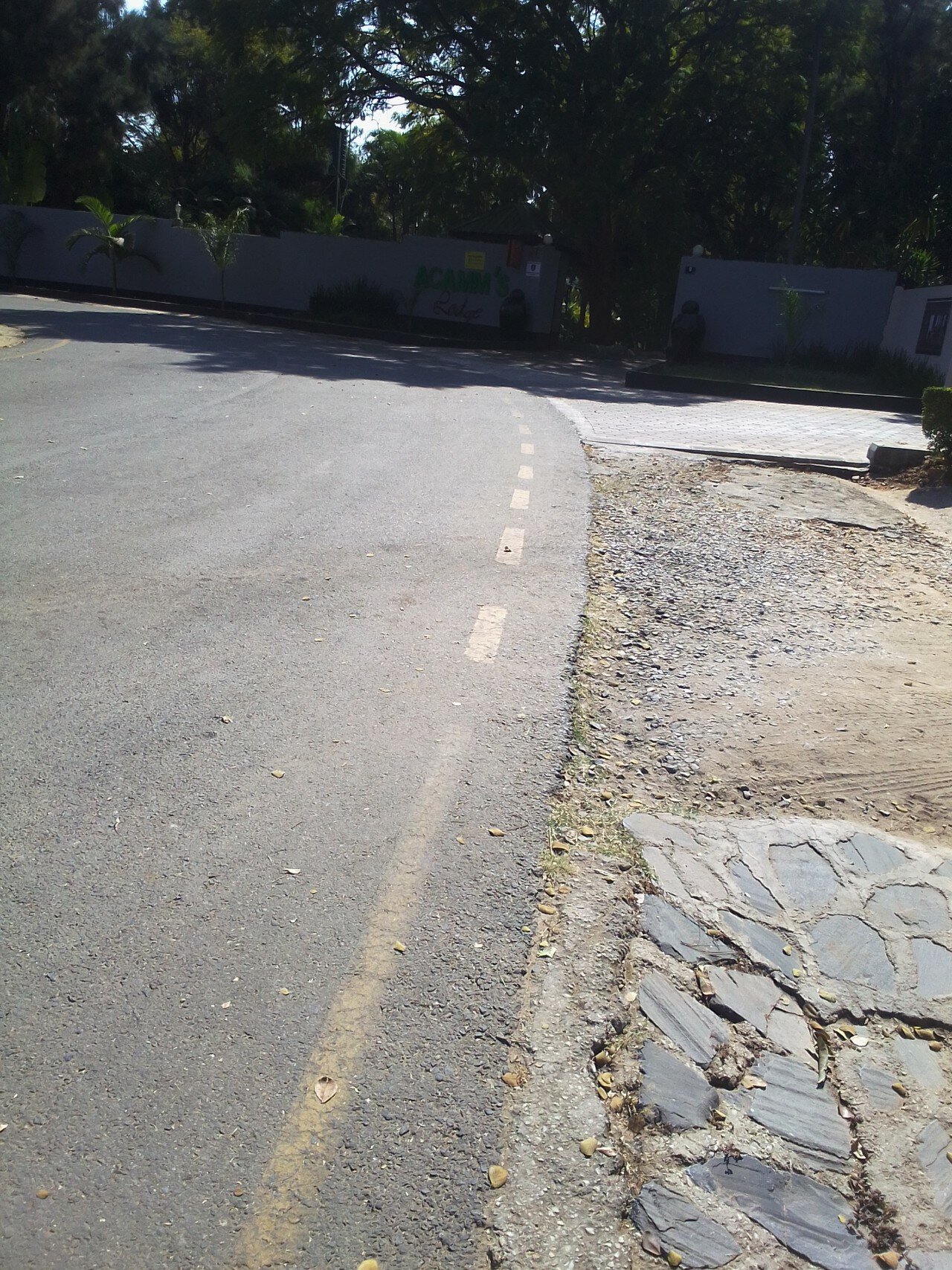 Фото Acamms Lodge Roma