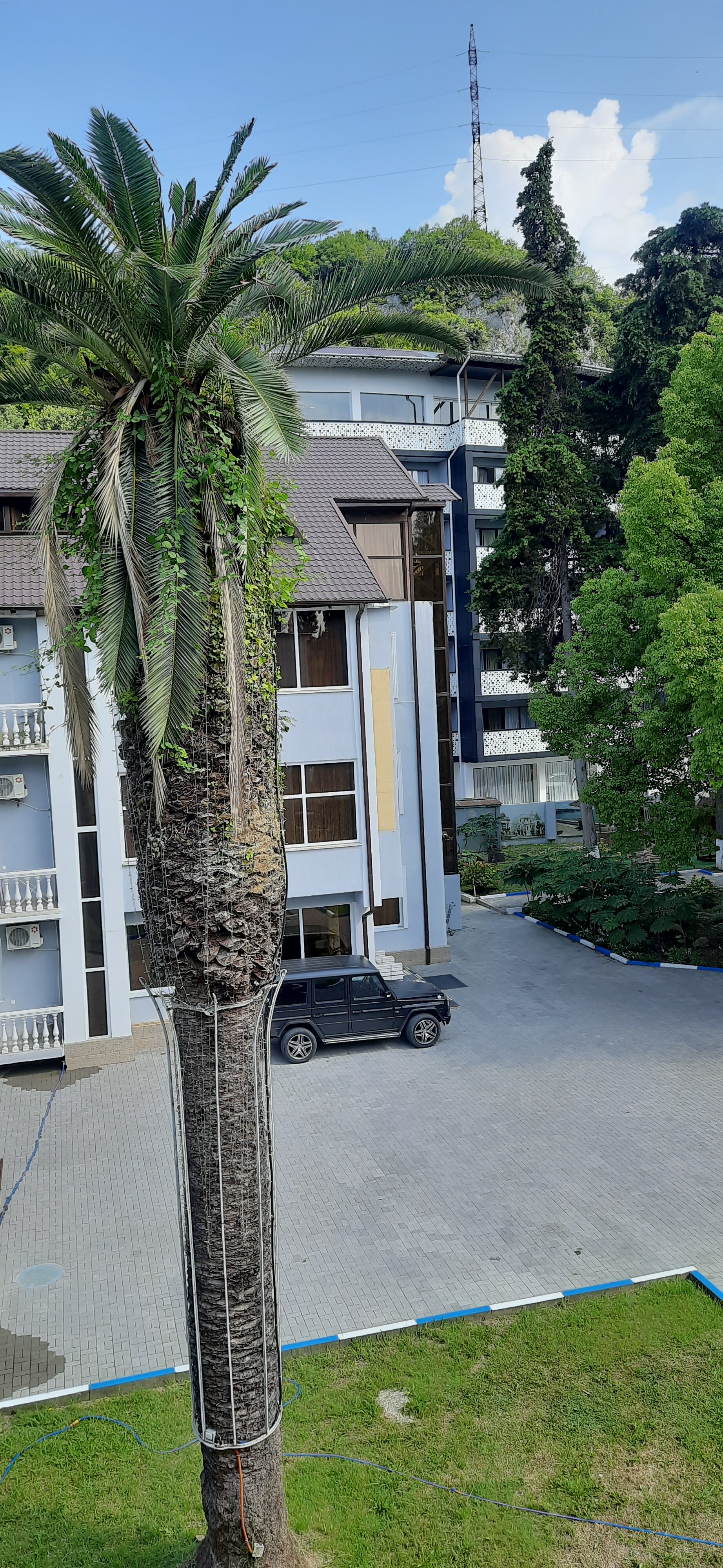 Фото Отель Грифон