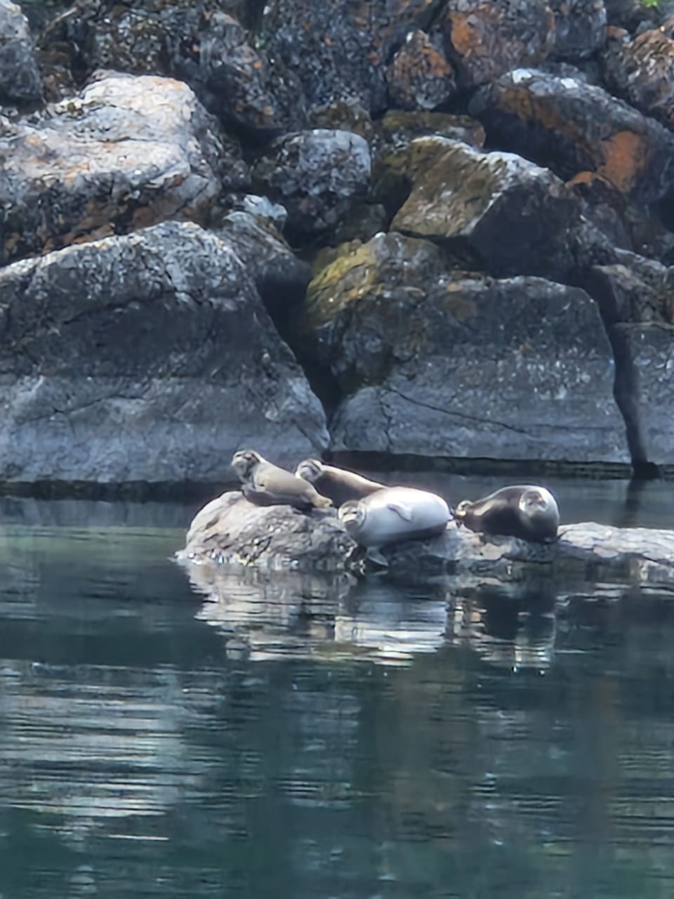 Фото Байкал Терра