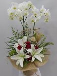 Turkuaz Cicekcilik (İzmir, Menemen, Kasımpaşa Mah., Prof. Muammer Aksoy Cad., 92A), floristeria
