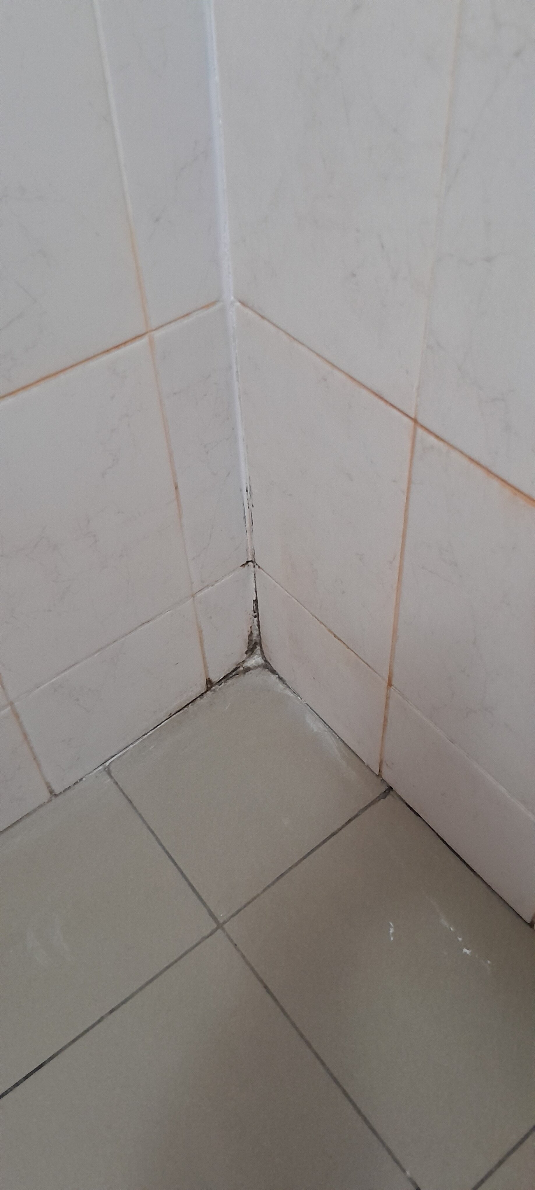 Фото Морская