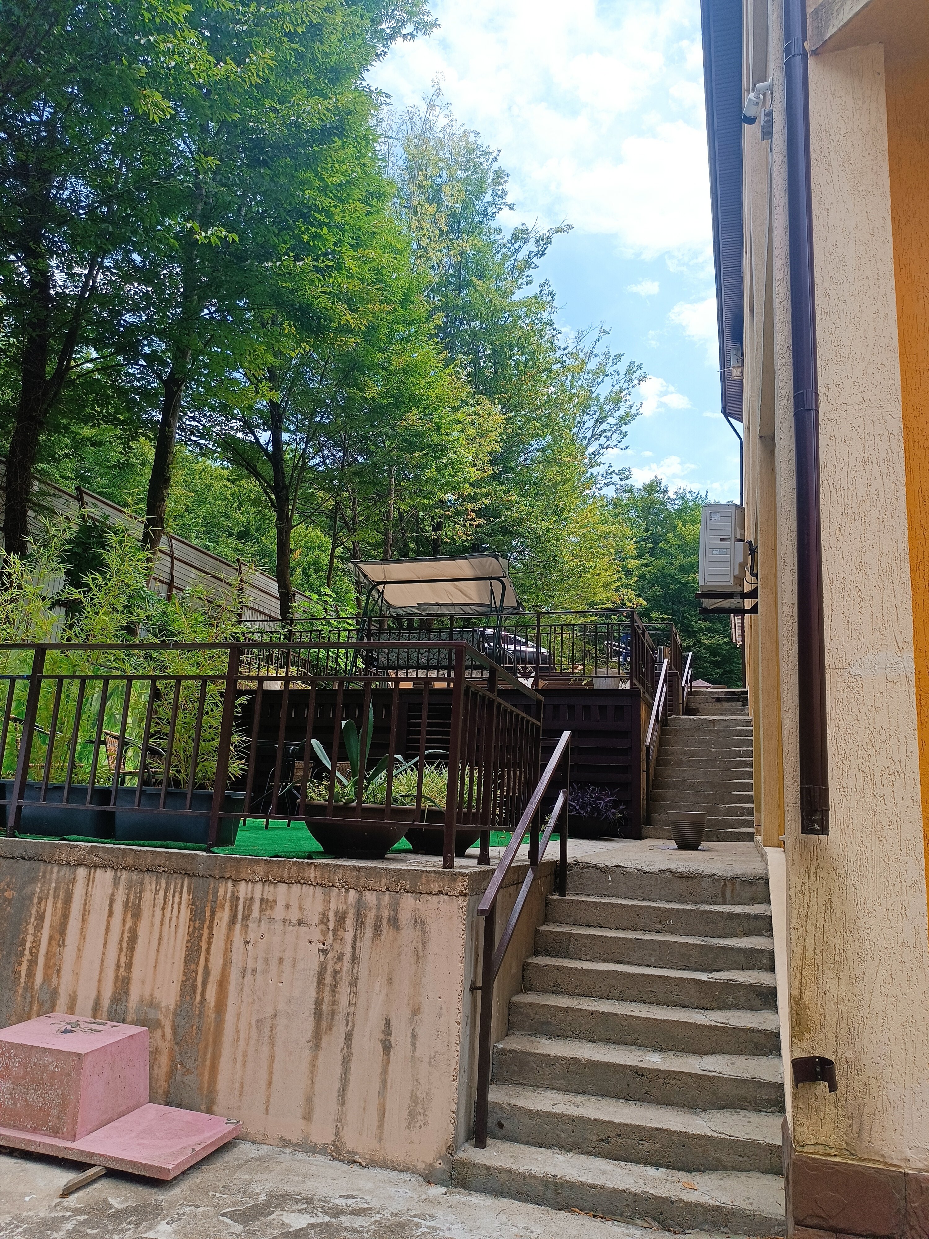 Фото Калипсо