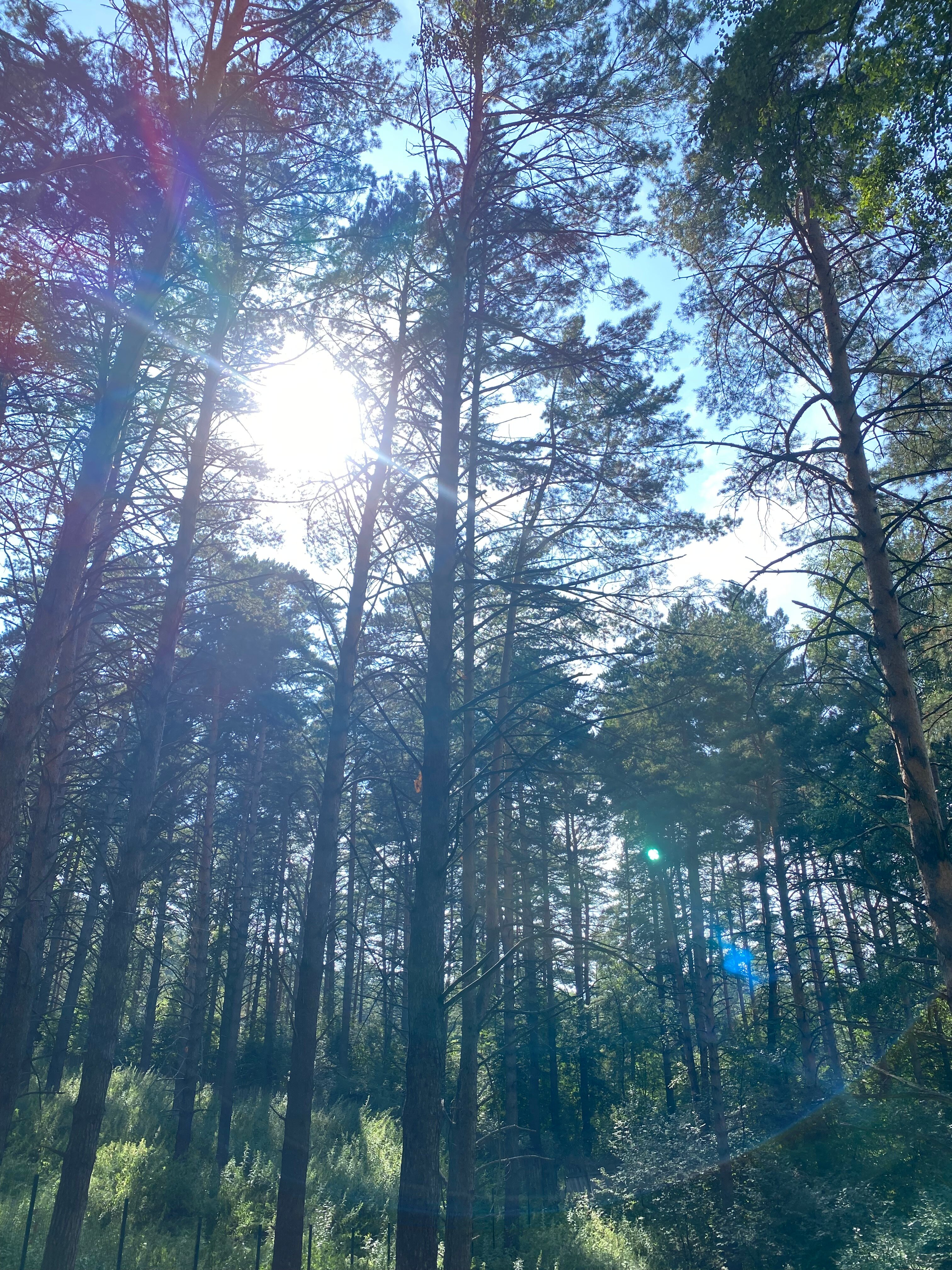 Фото Царская охота