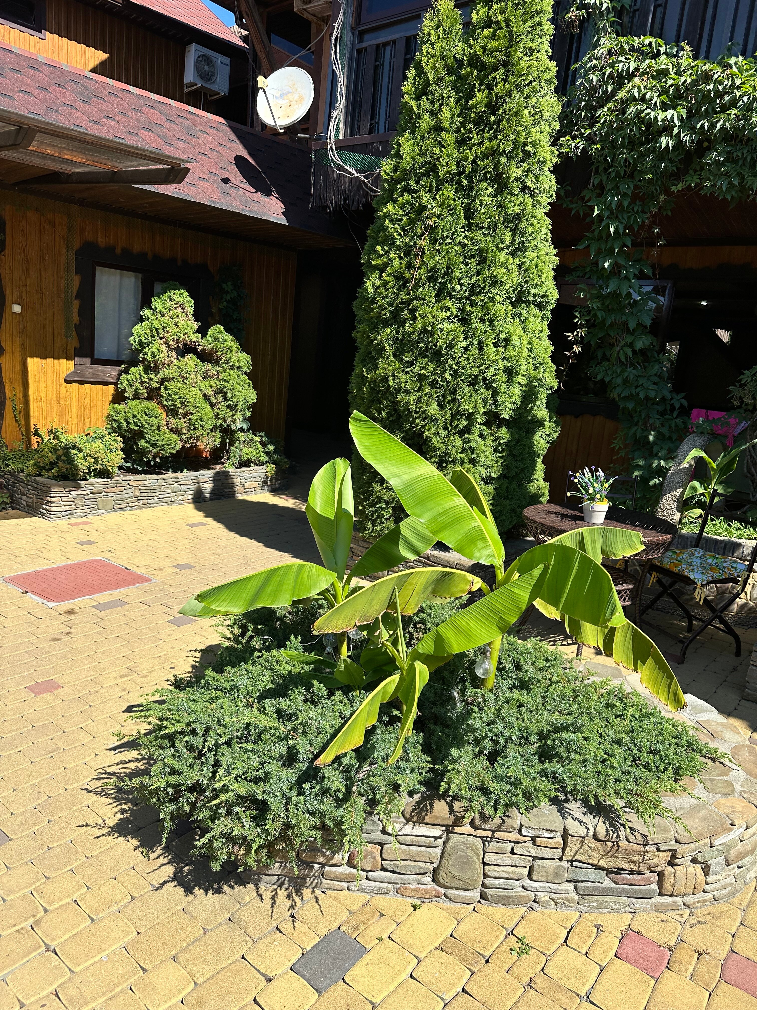 Фото Вилла Лючия 2