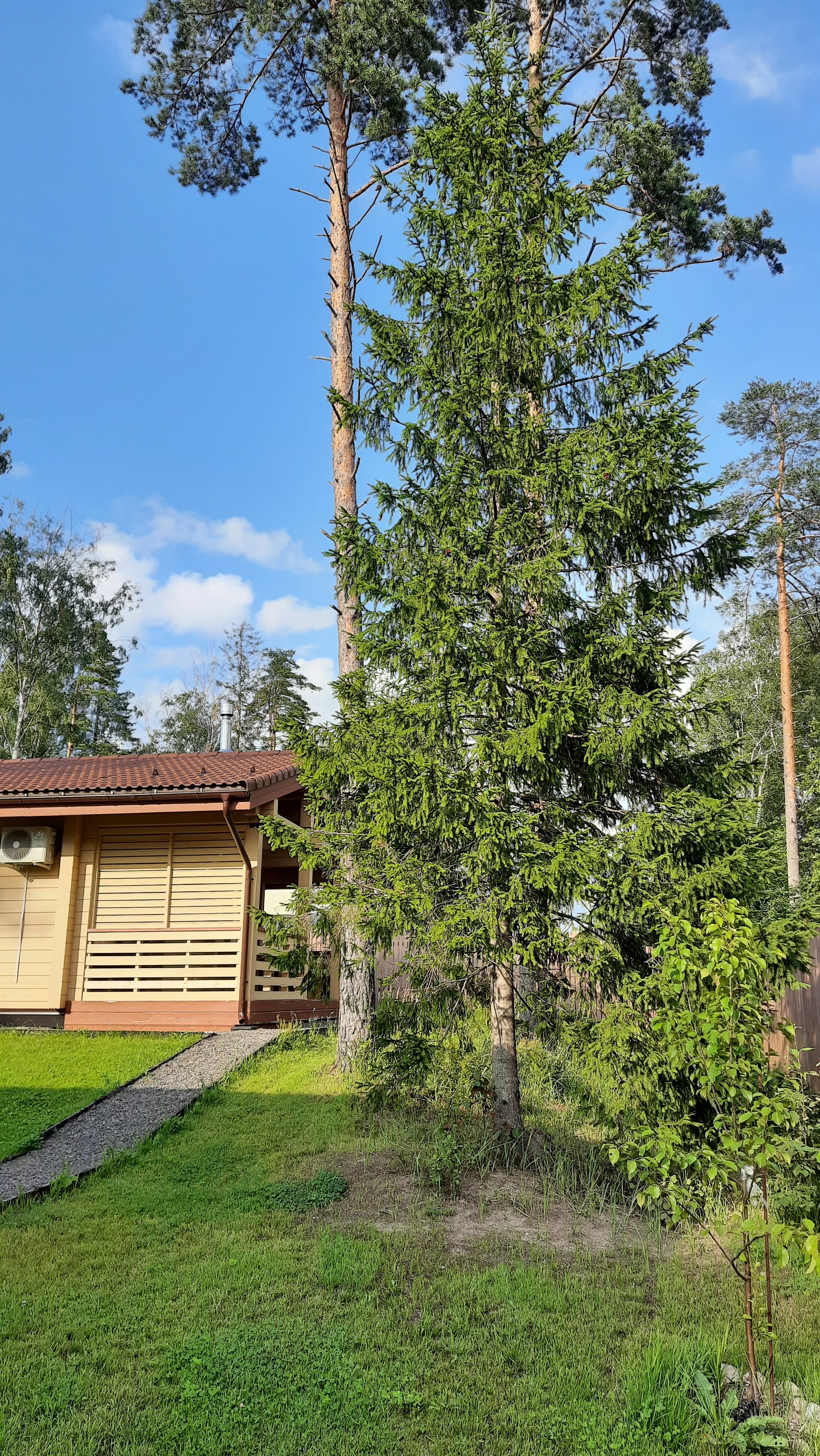 Фото Sosnovka house