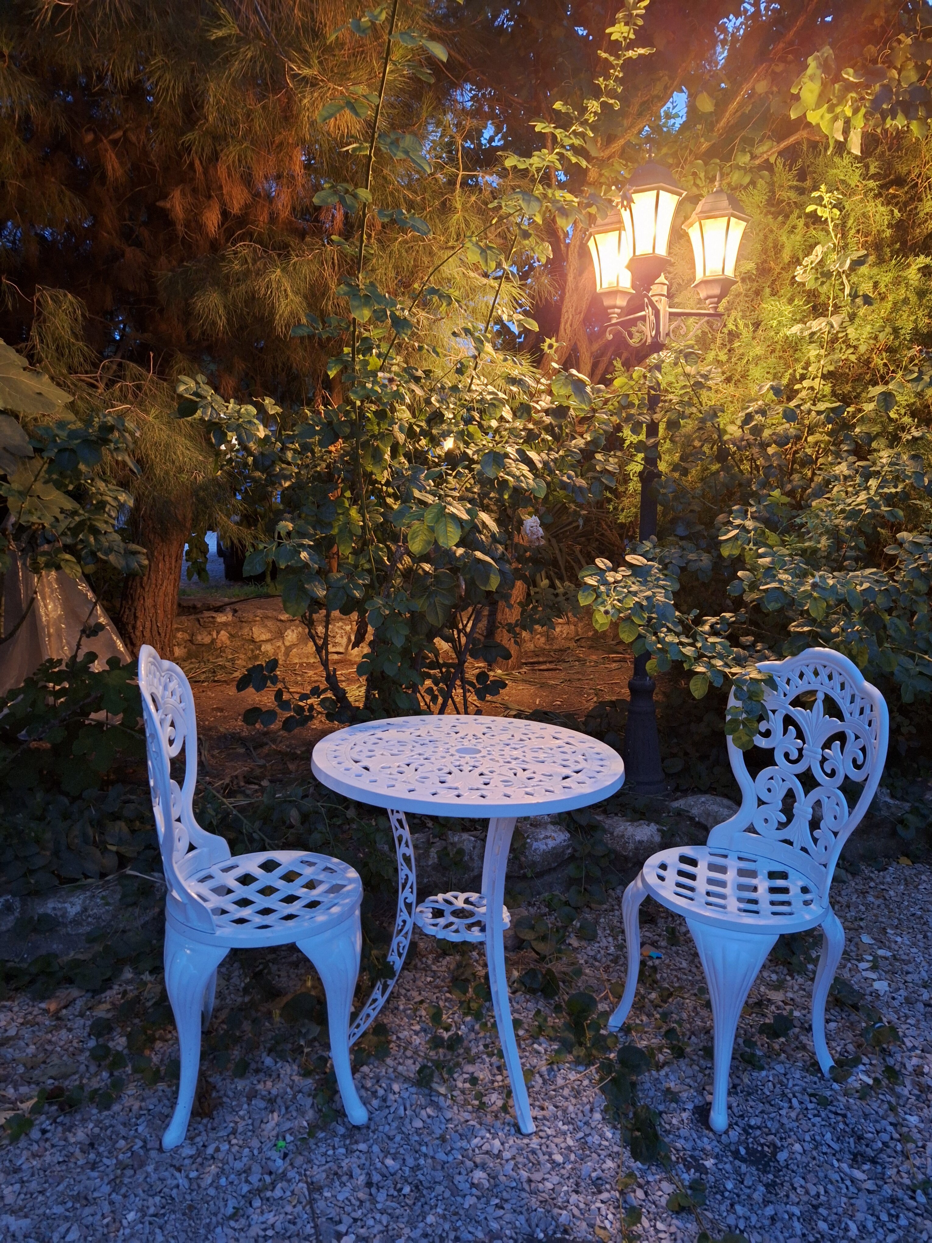 Фото Пансионат Соната