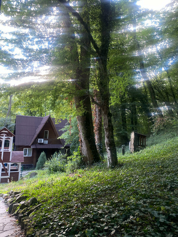 БорОдача — фото 2