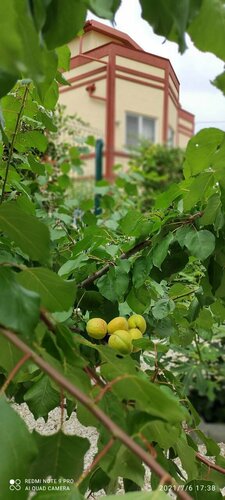 Баловень судьбы  фото 9