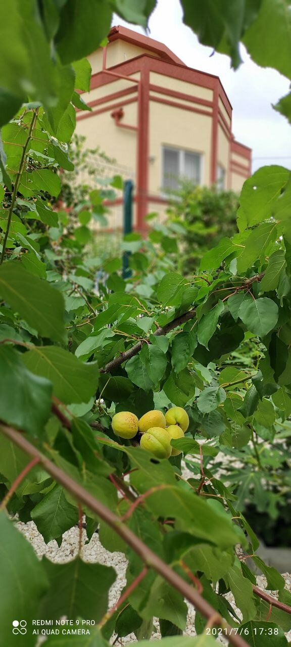 Фото Баловень судьбы