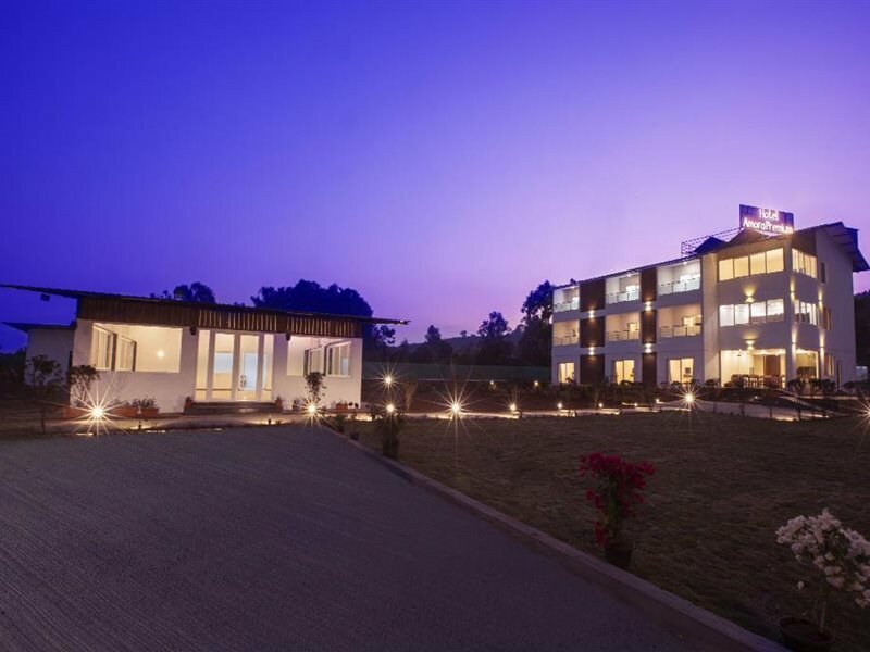 Фото Hotel Amora Premium