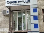 Синяя птица (Geroev Sibiryakov street, 35) ، وكالة عقارية