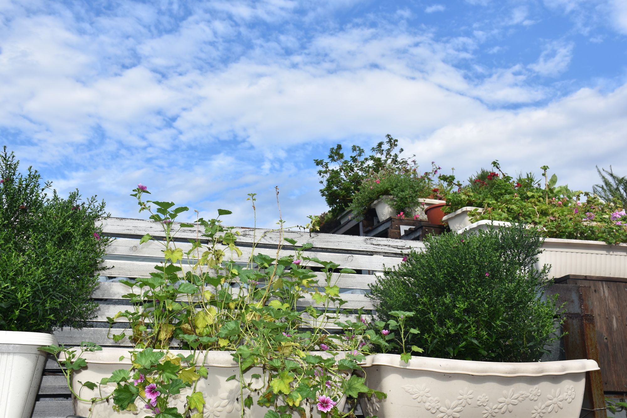 Фото Peking International Youth Hostel