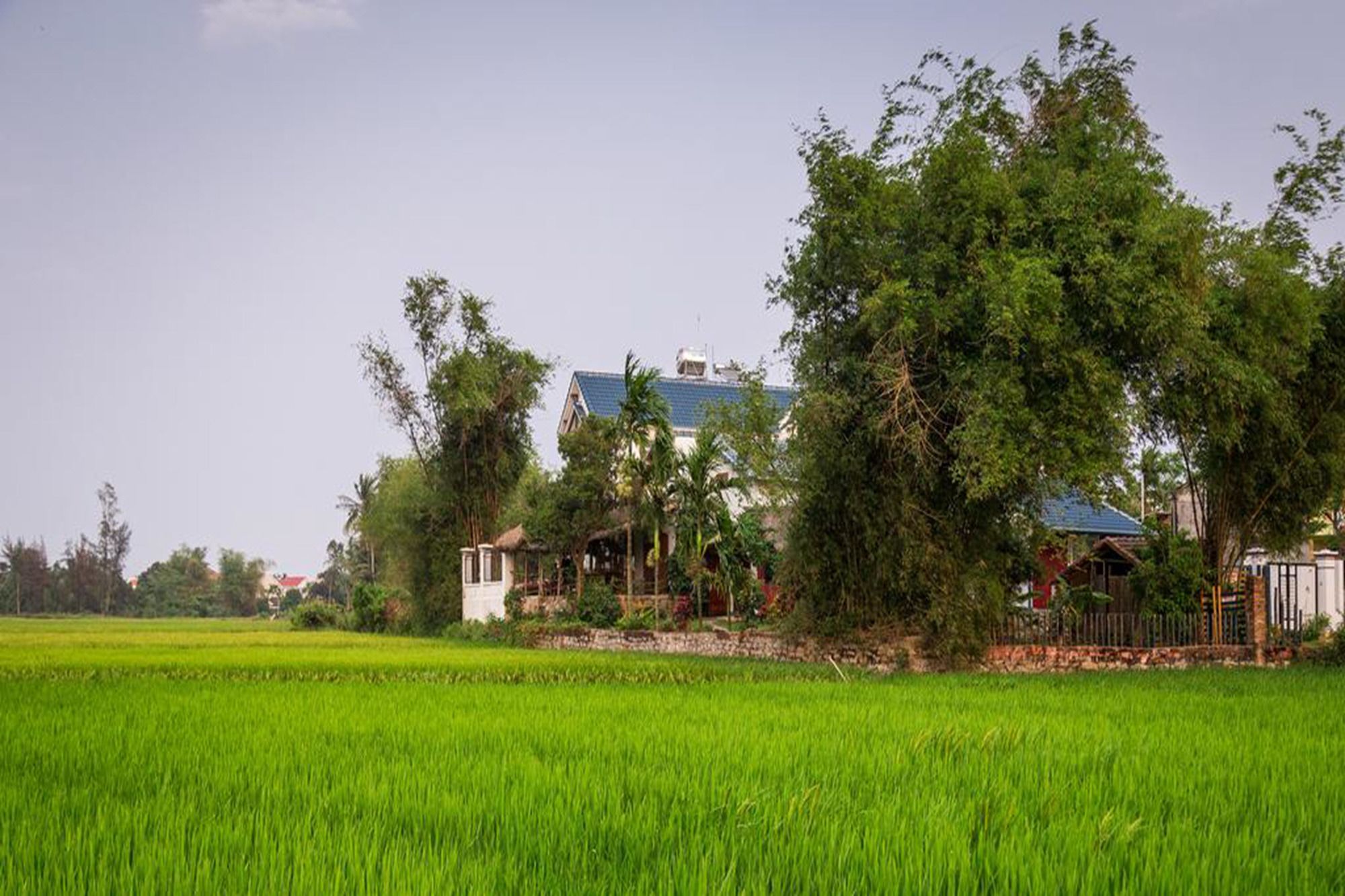 Фото La Terrazza