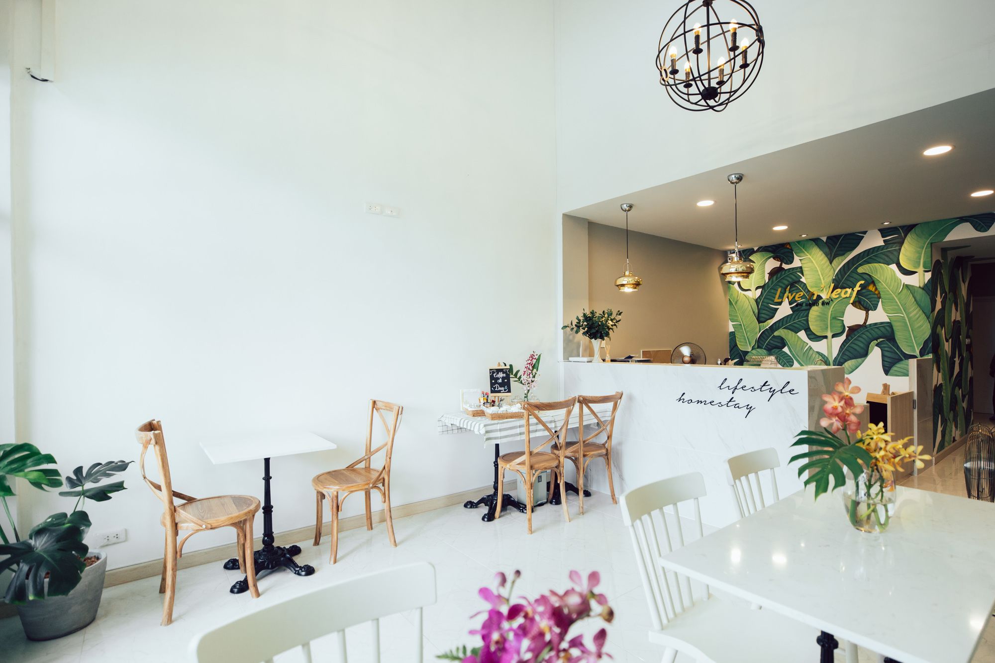 Фото Live n Leaf Lifestyle Homestay