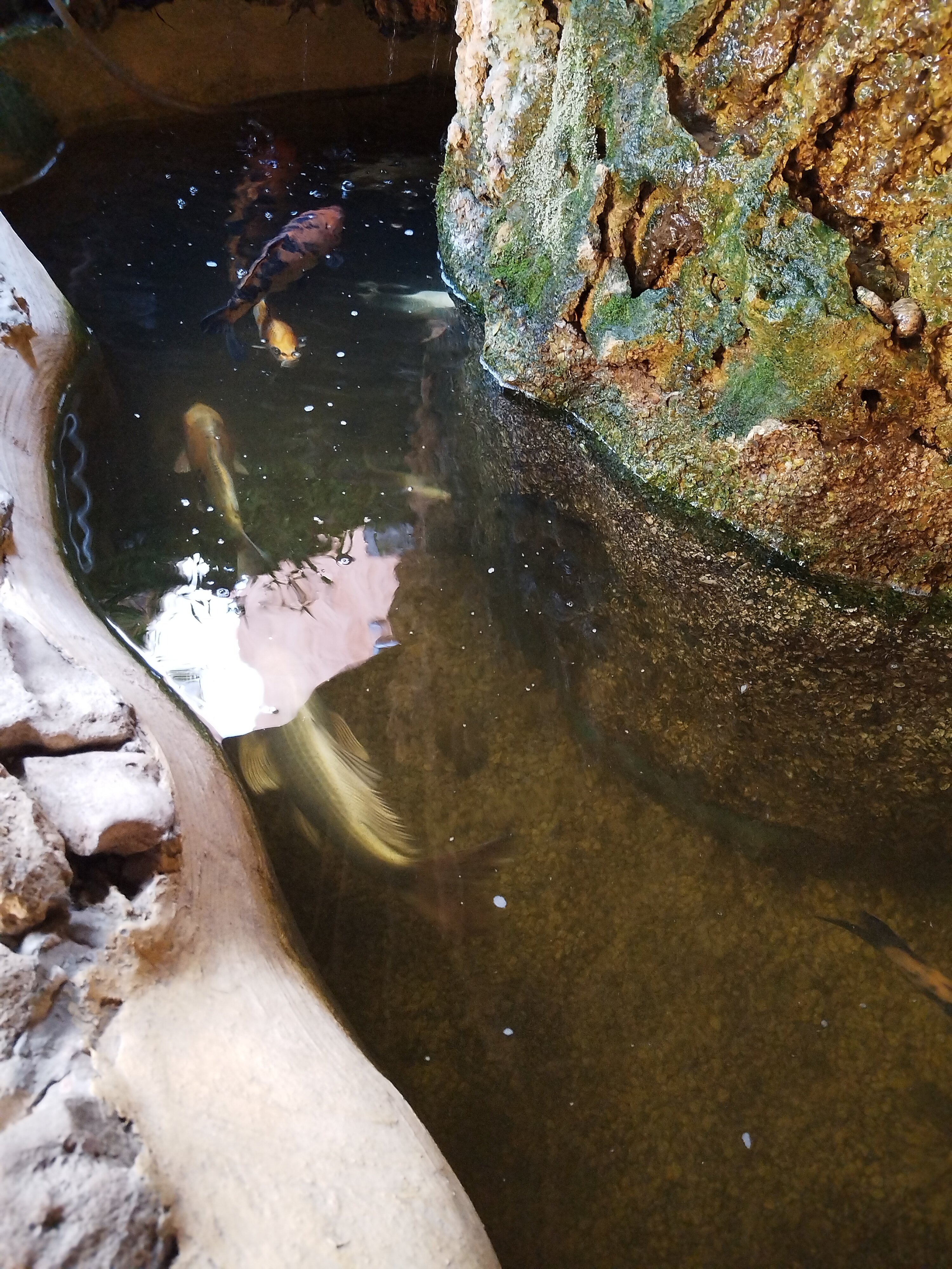 Фото Экватор