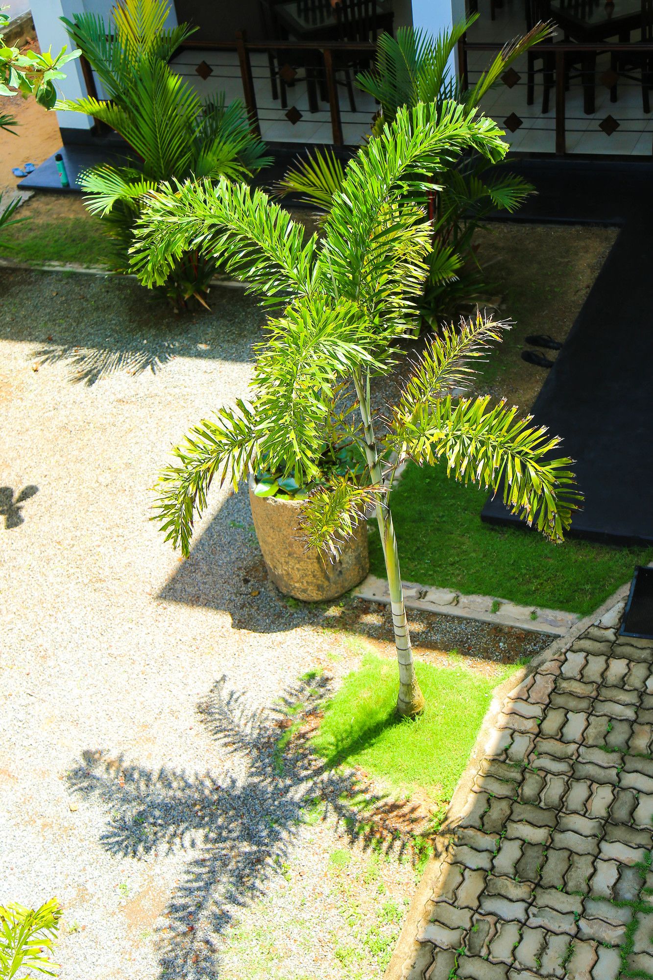 Фото Aurora Hotel & Restaurant