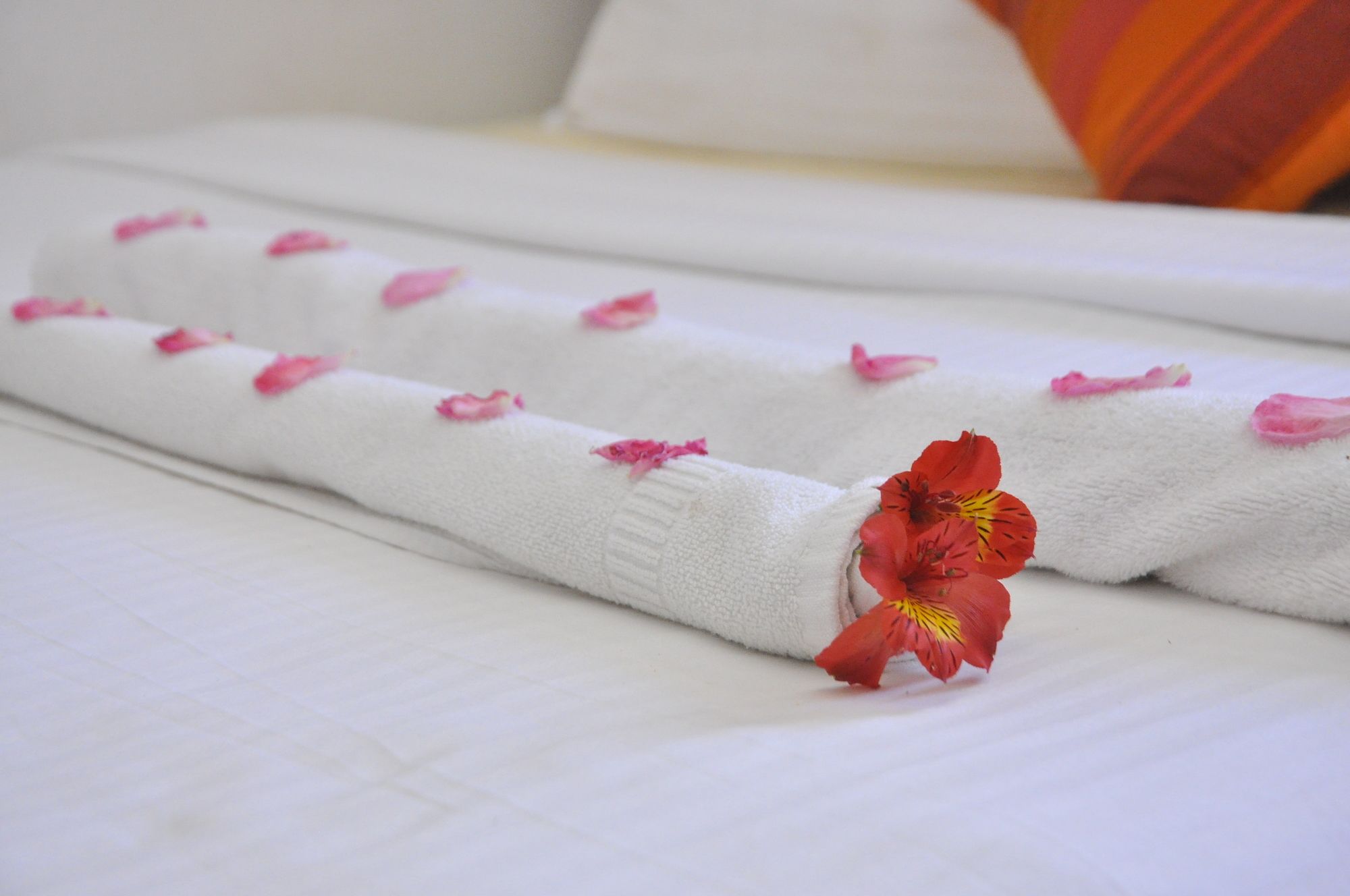 Фото Inroma Holiday Resort