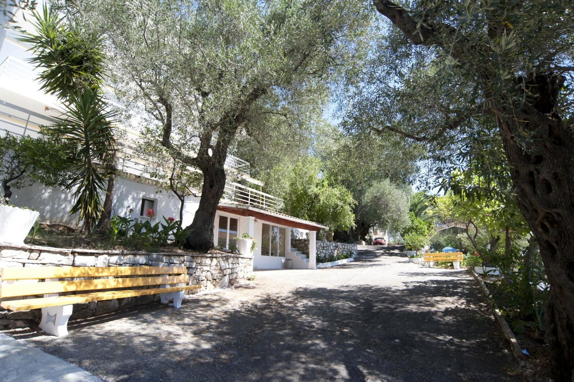 Фото Paradise Apartments