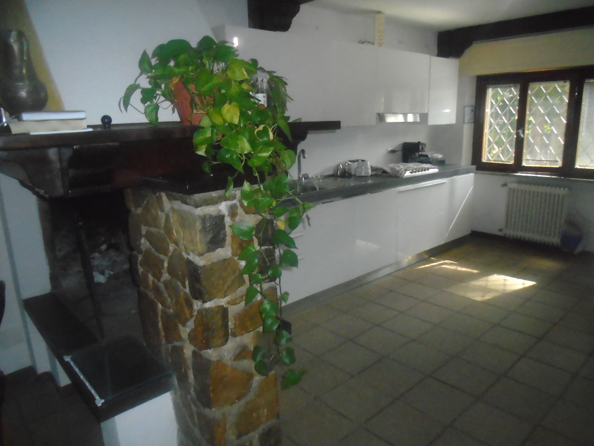 Фото Tropical B&b