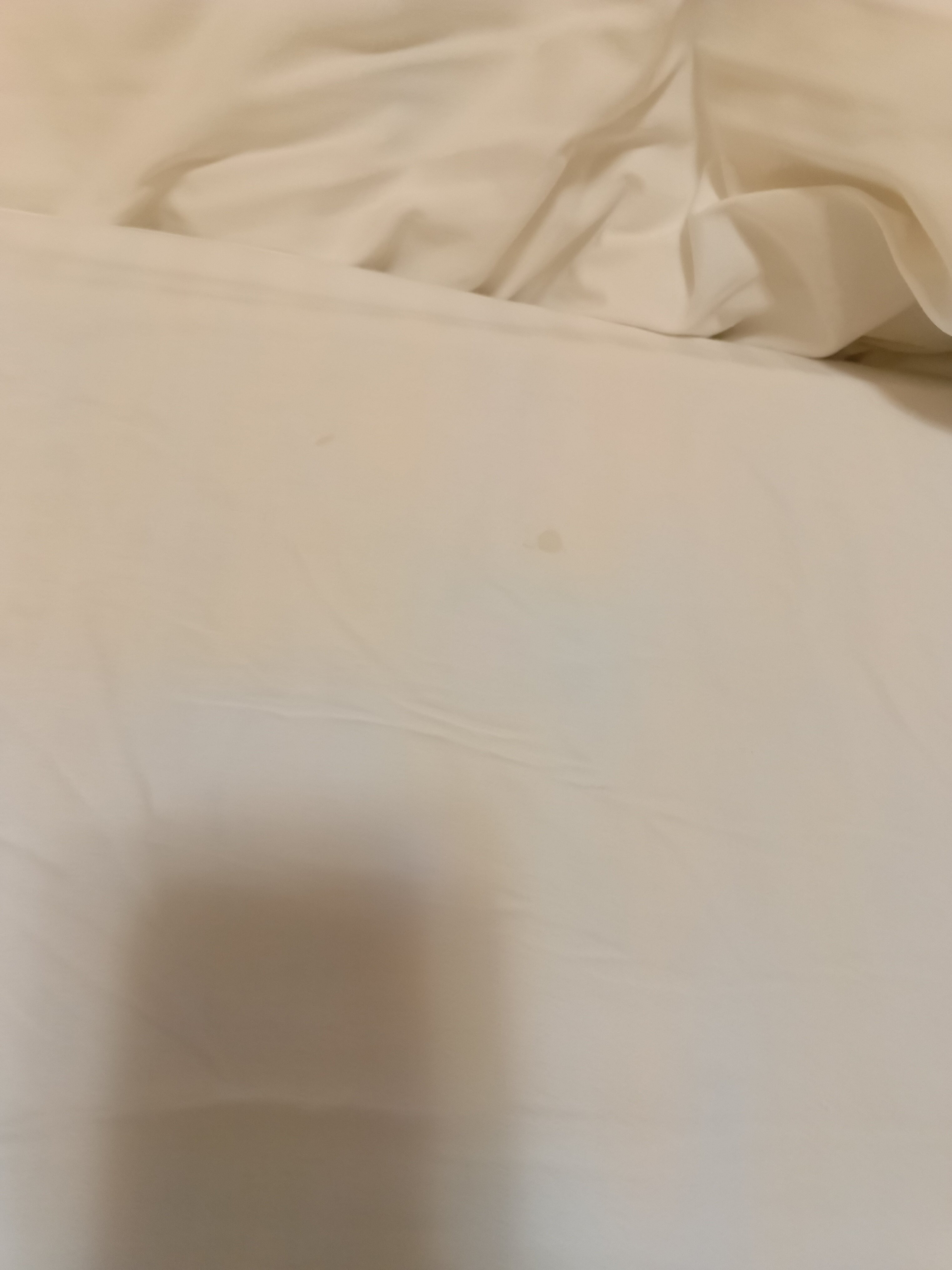 Фото Звездный