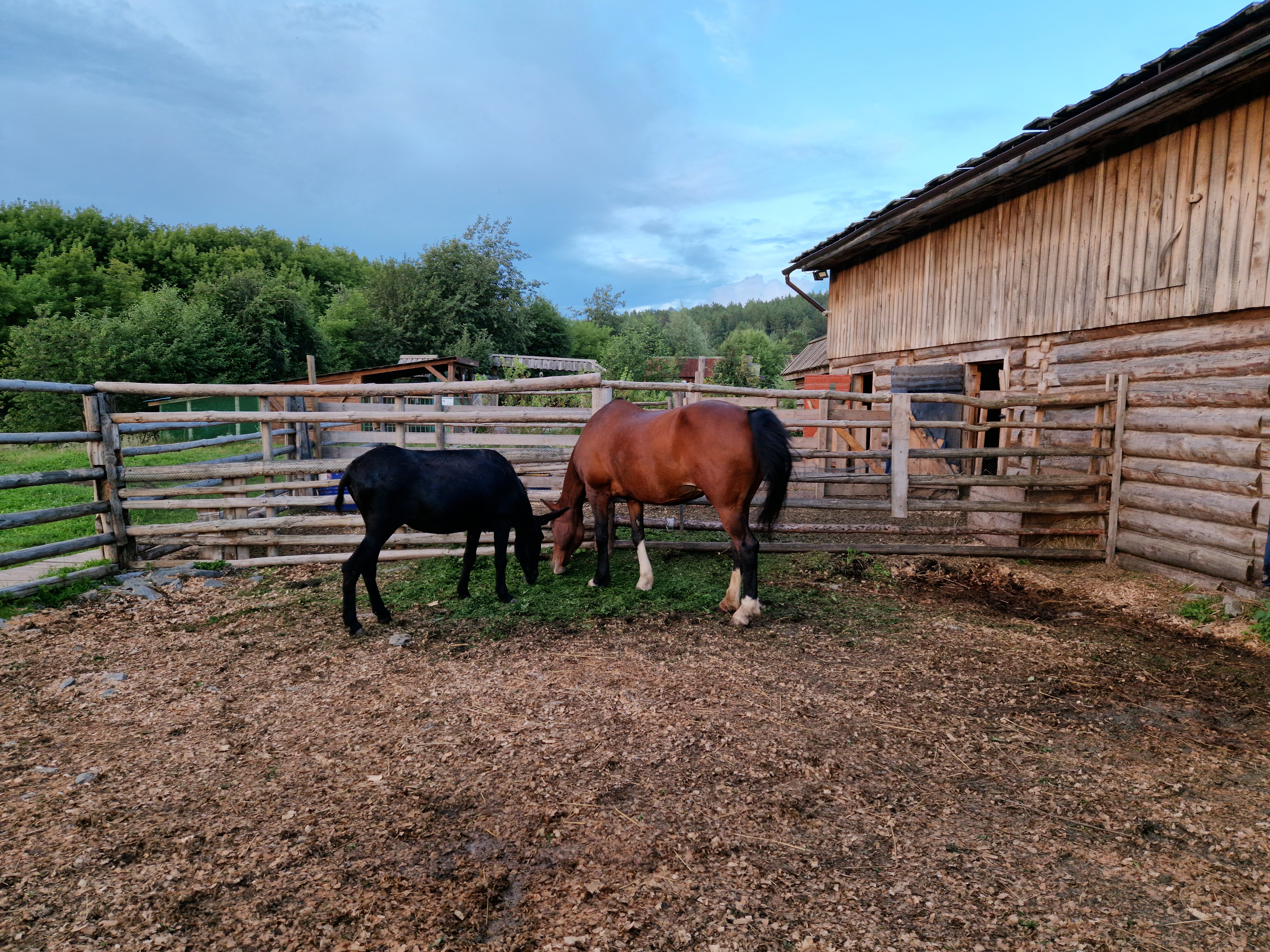 Фото Парк-отель Сорока