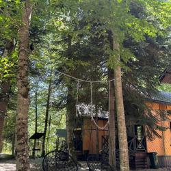 Фото Green Forest Arkhyz