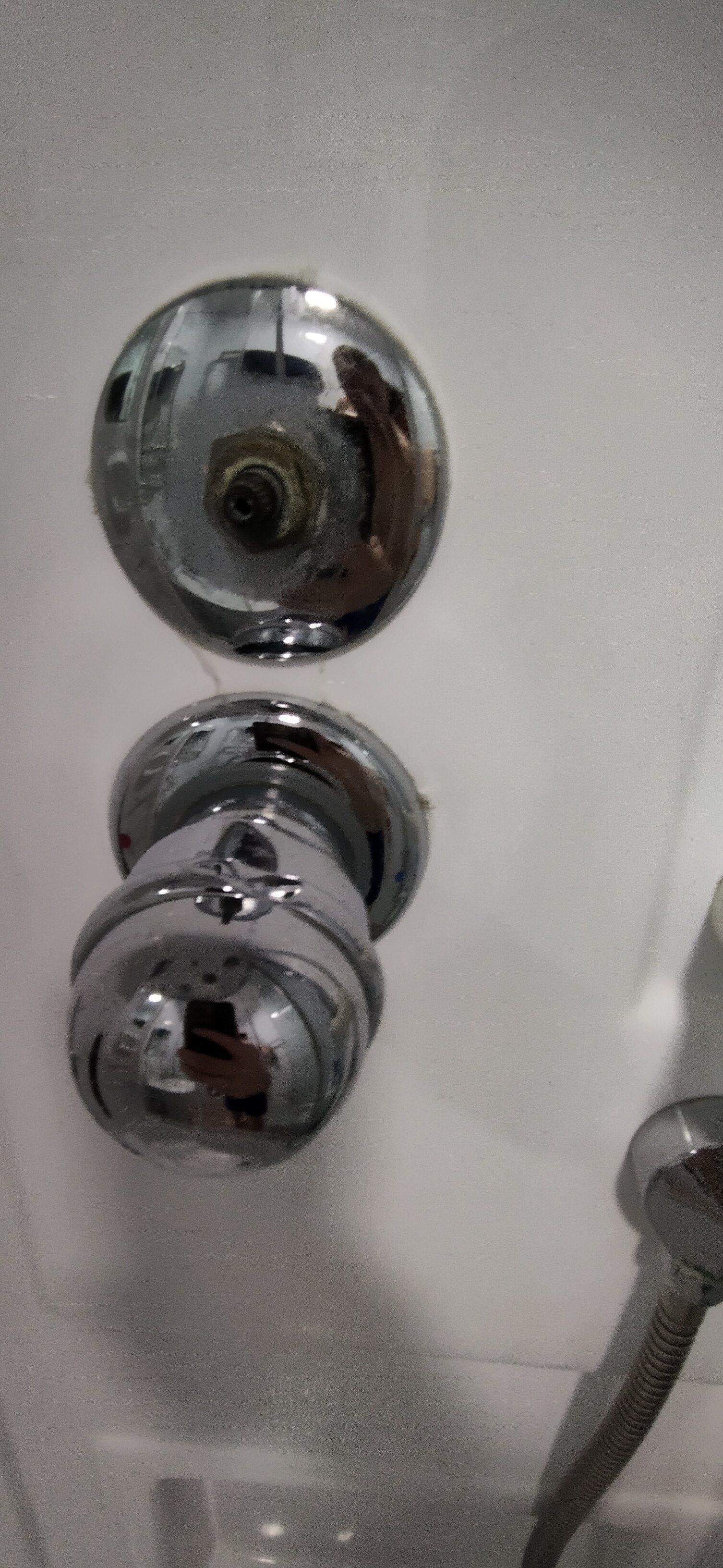 Фото Виардо