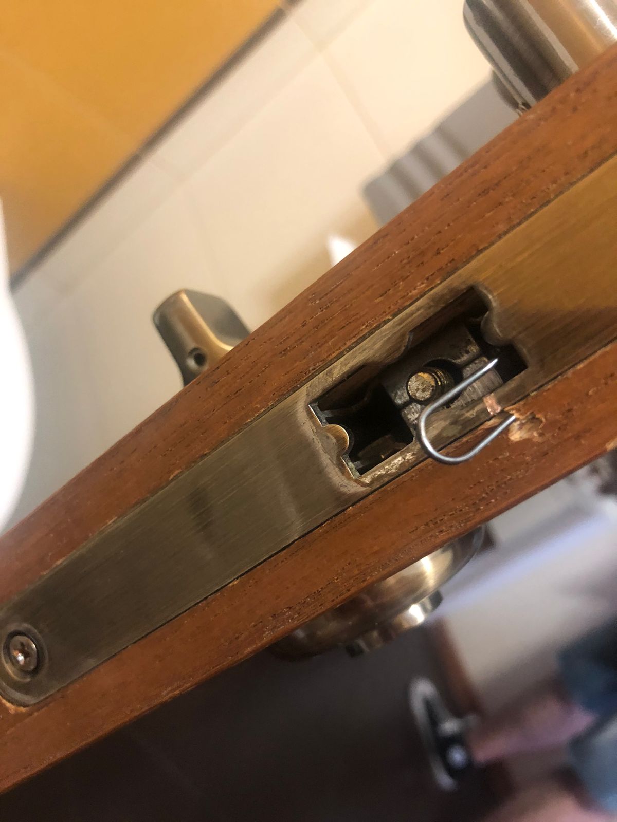 Фото Пальмира клуб