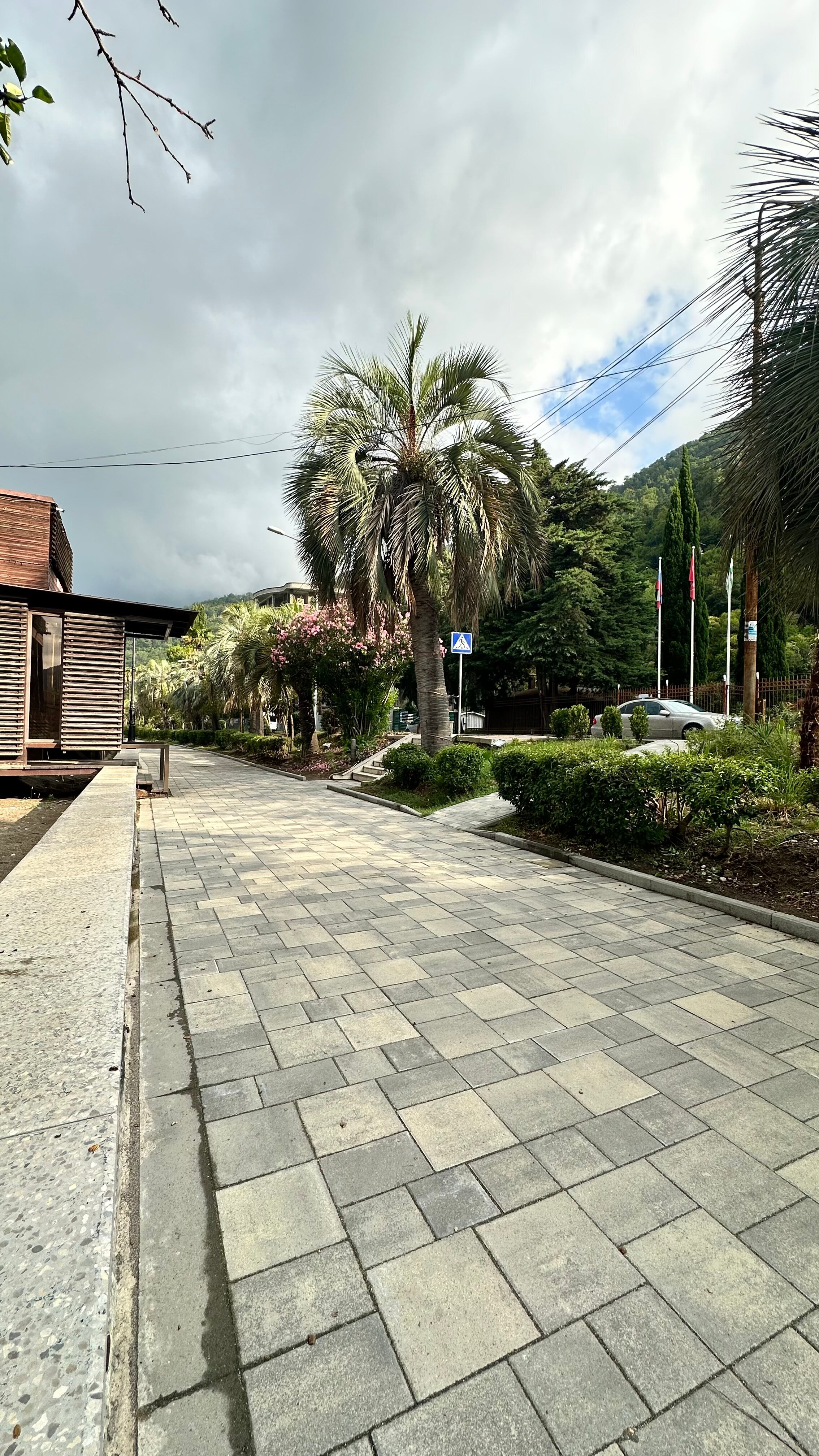 Фото Континент Гагра