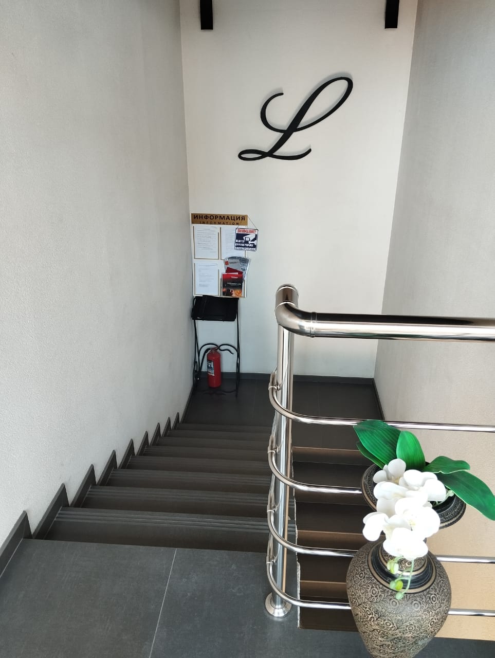 Фото Леонардо