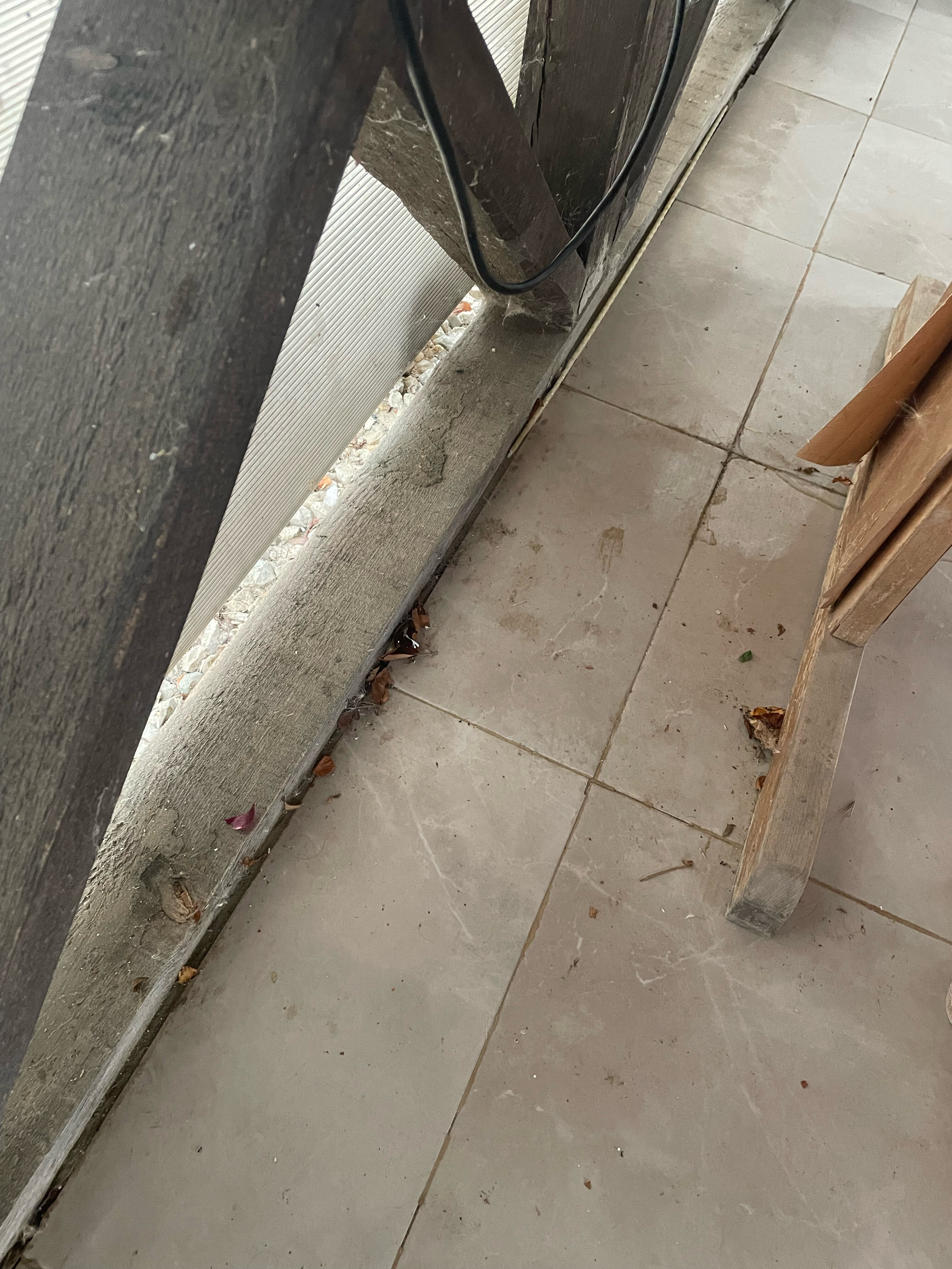 Фото Антарес