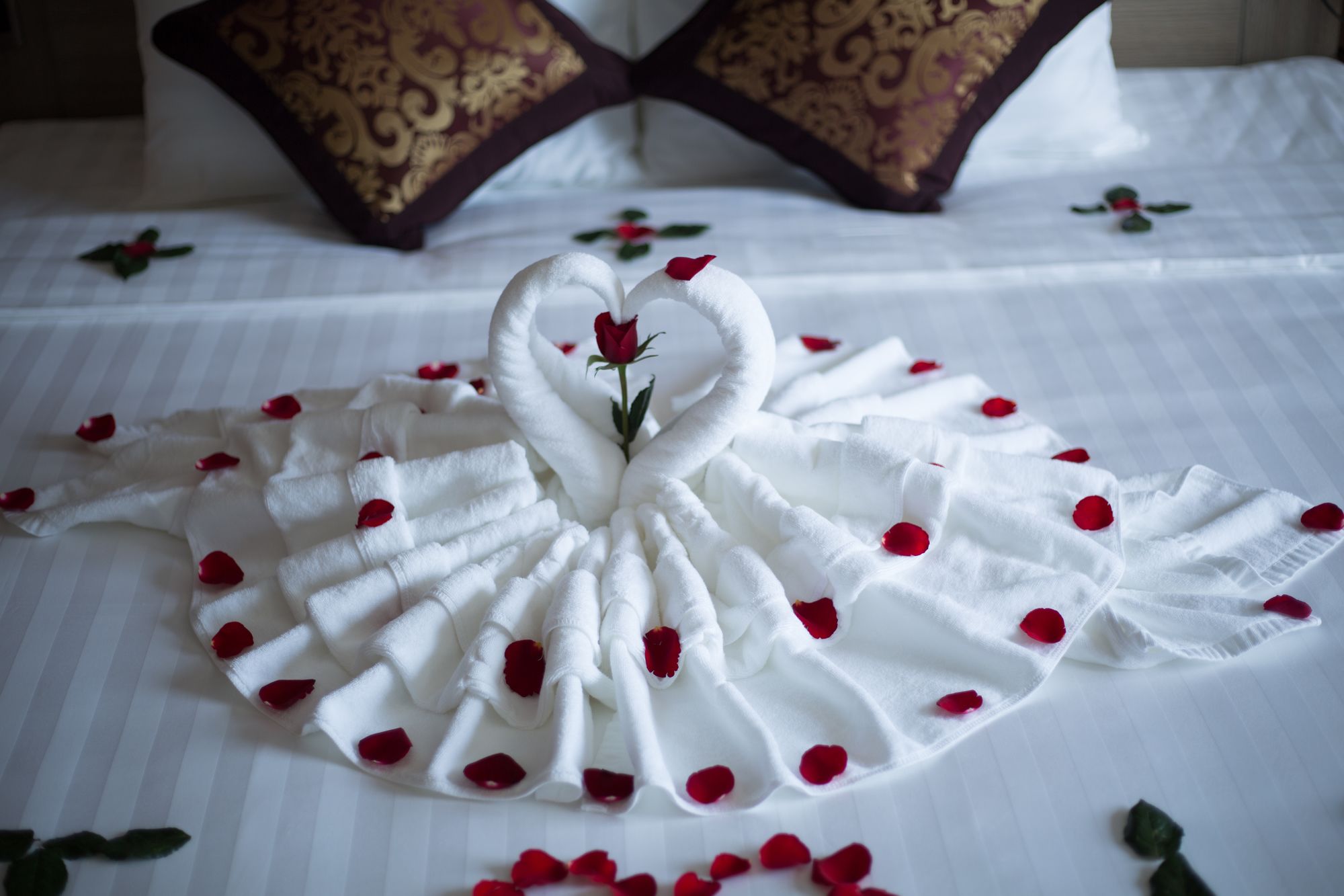 Фото Grandvrio City Danang by Route Inn Group