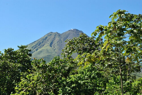 Гостиница Hotel Las Orquideas