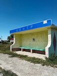 Куликовская школа (Lipetsk Region, Usmanskiy rayon, village Kulikovo, ulitsa Lenina), public transport stop