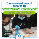 Marmara Bilge Schools (Kocaeli, Darıca, Piri Reis Mah., Uluçınar Sok., 2), private school