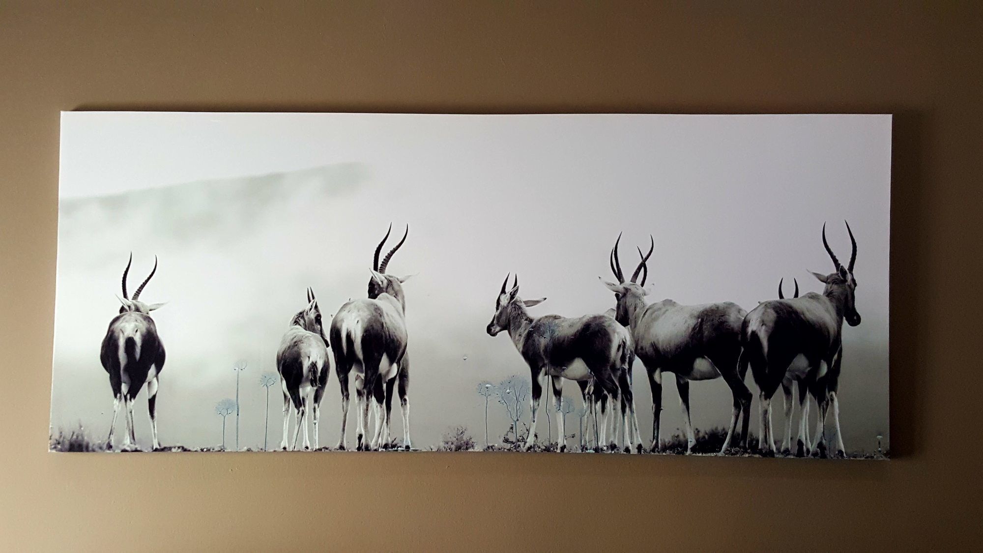 Фото Aerotropolis Guest Lodge