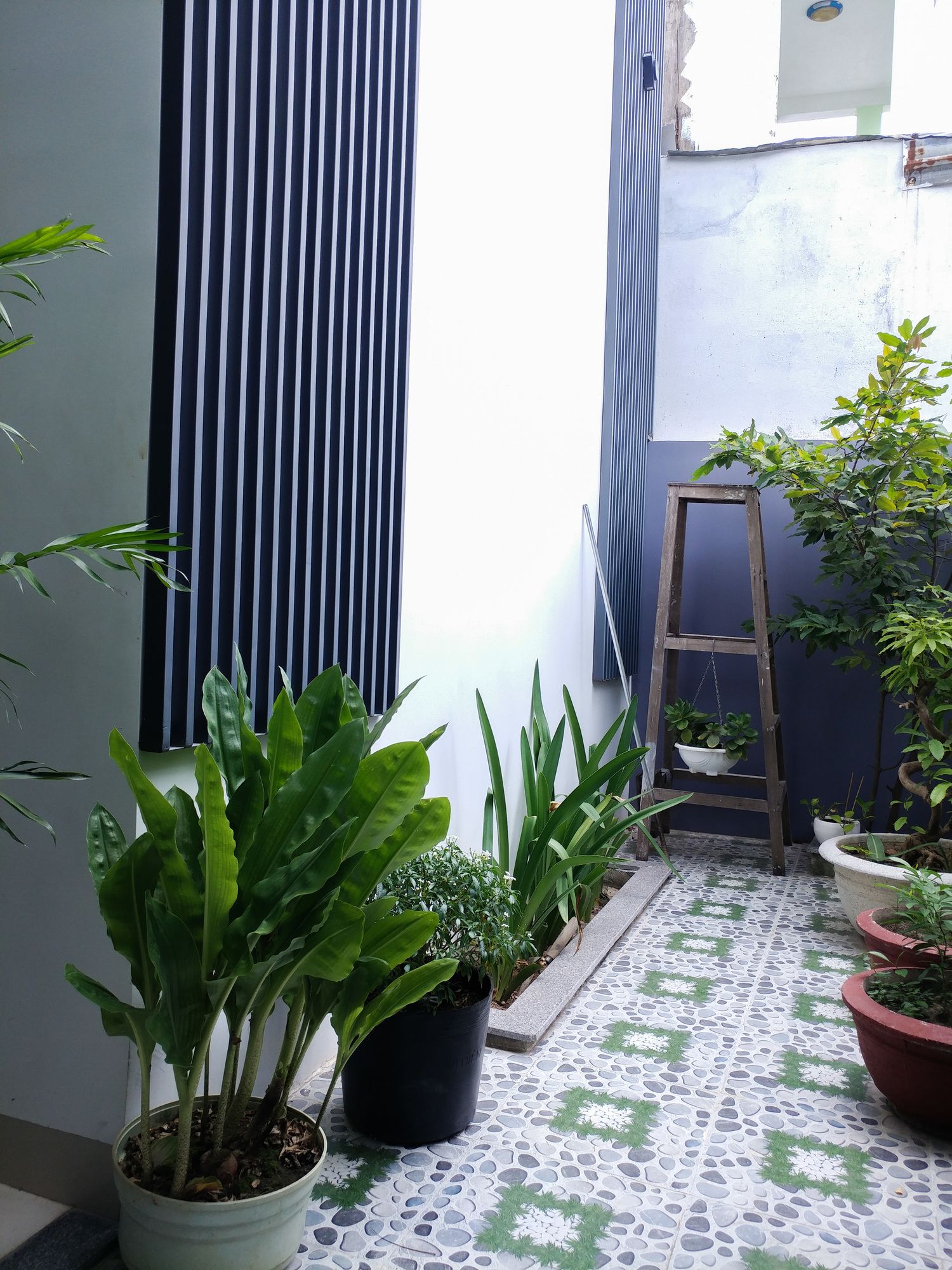 Фото Cukoo House