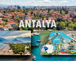 Moly - Moly Tourism Company (Sakarya, Adapazarı, Cumhuriyet Mah., 5. Geçit Sok., 2), travel agency