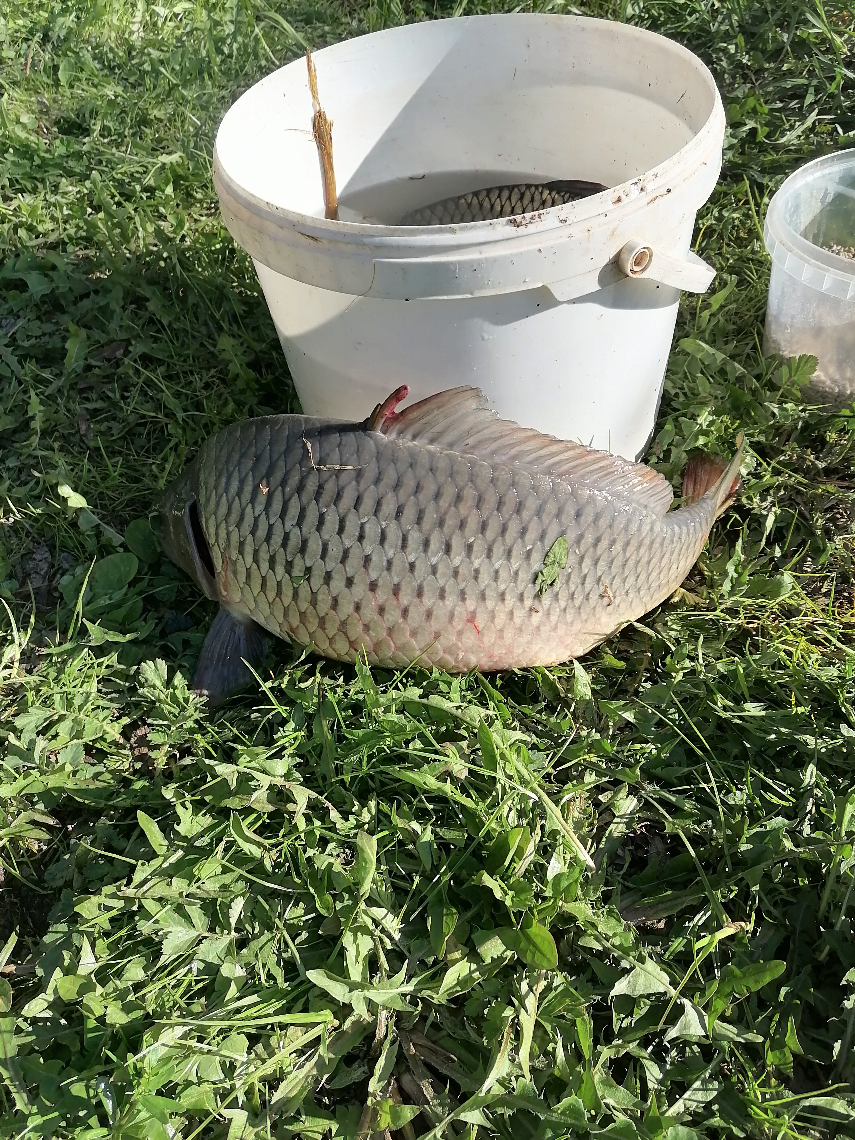 Фото Клёвый хуторок