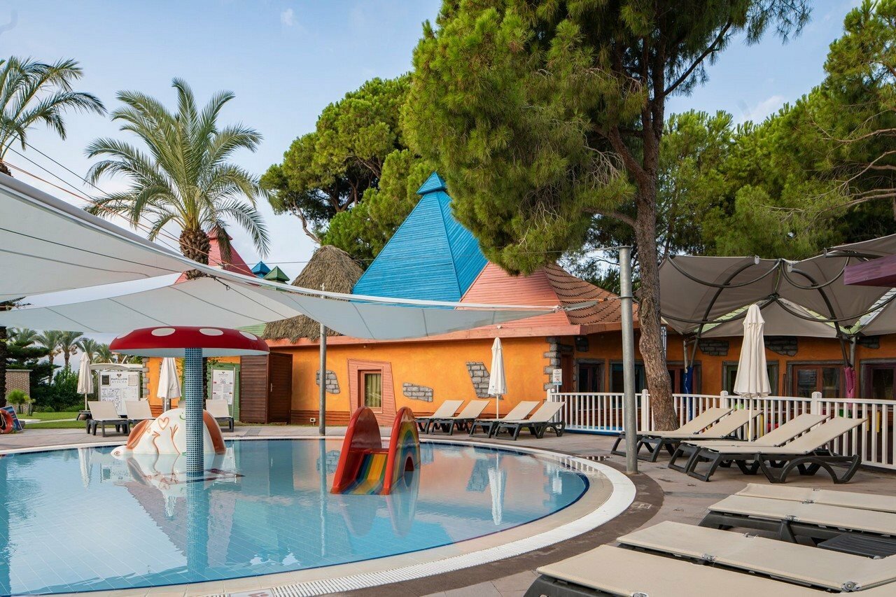 Фото Papillon Ayscha